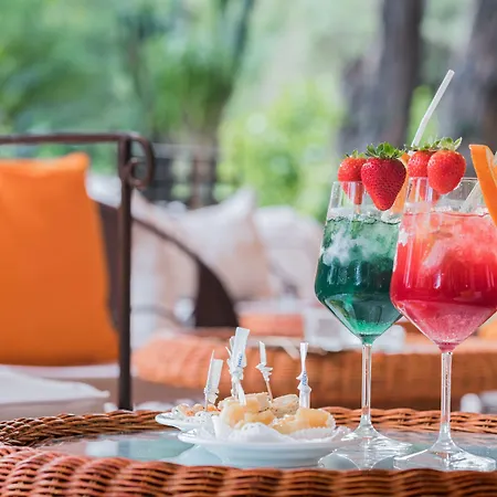 מלון Andreaneri 3*