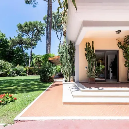 Otel Andreaneri Marina di Pietrasanta