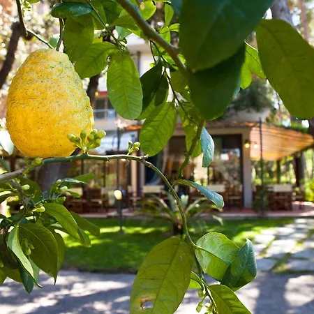 Otel Andreaneri