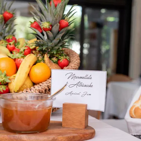 Andreaneri Hotel Marina di Pietrasanta