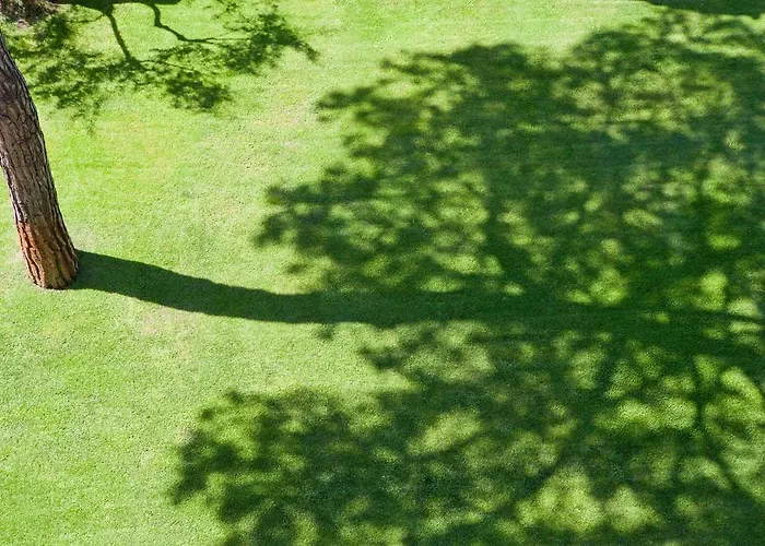 Szálloda Andreaneri