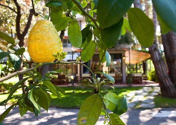 Szálloda Andreaneri