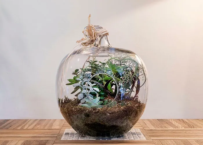 Andreaneri Szálloda 3*