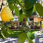 Hotel Andreaneri